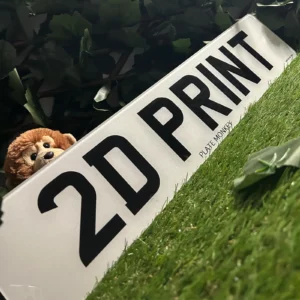 2D Standard Plates